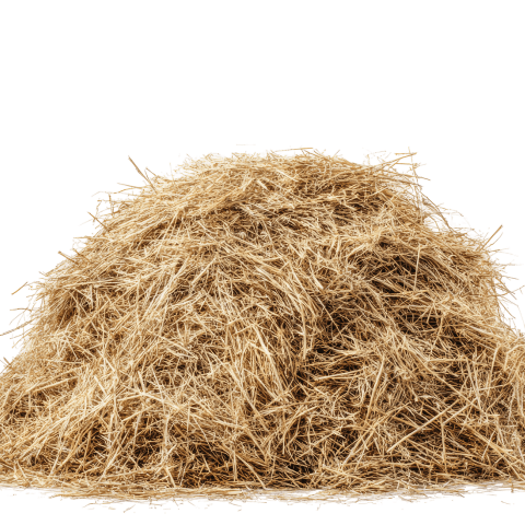 Small Pet Bedding