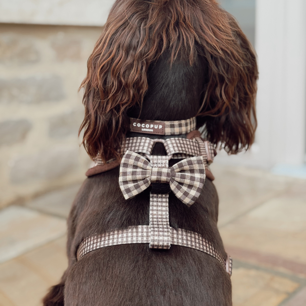 Cocopup Cotswolds Check Dog Bow Tie