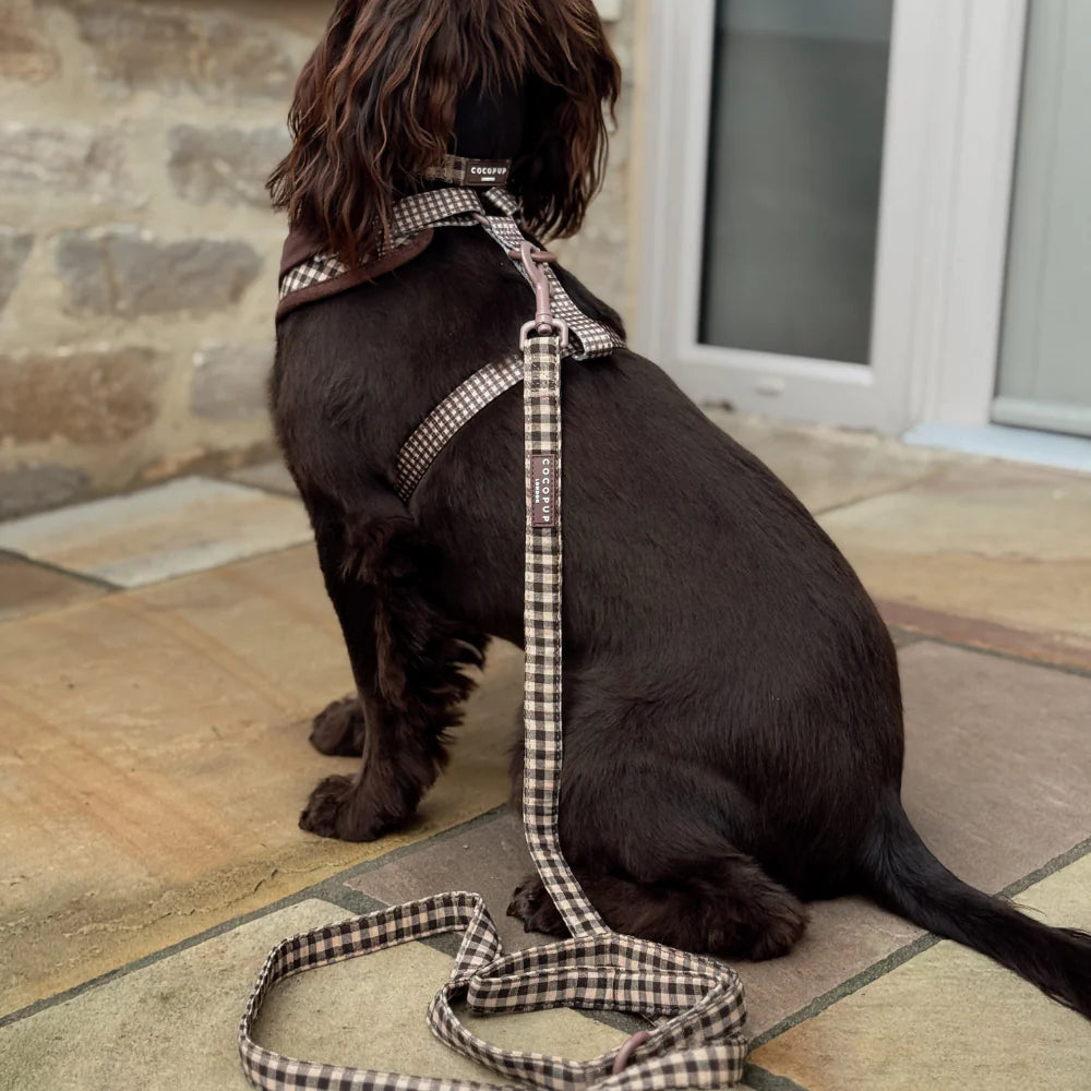 Cocopup Cotswolds Check Dog Lead