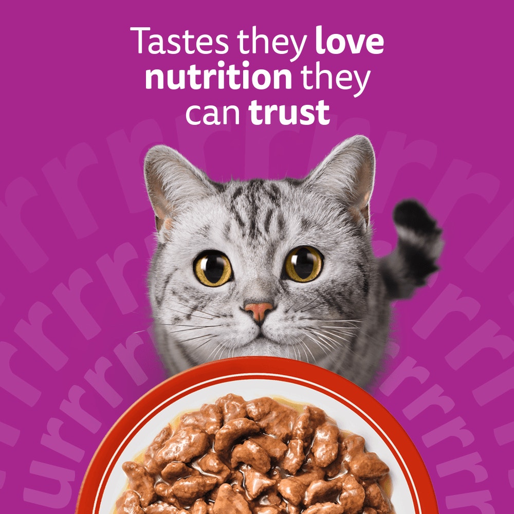 Whiskas Meaty Meals in Gravy Wet Cat Food for Adult Cats