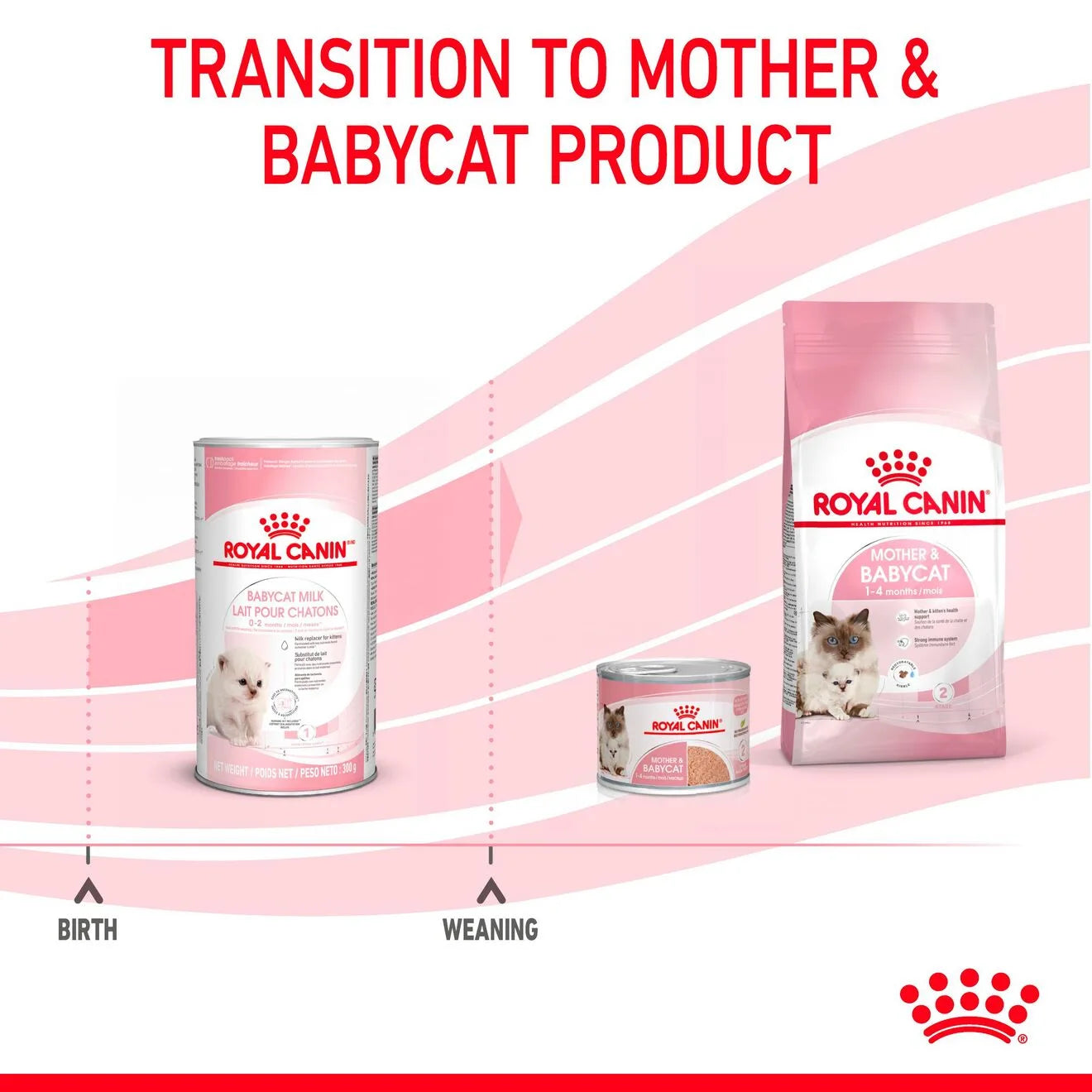 Royal Canin Babycat Milk Cat Food for Kittens, 300g