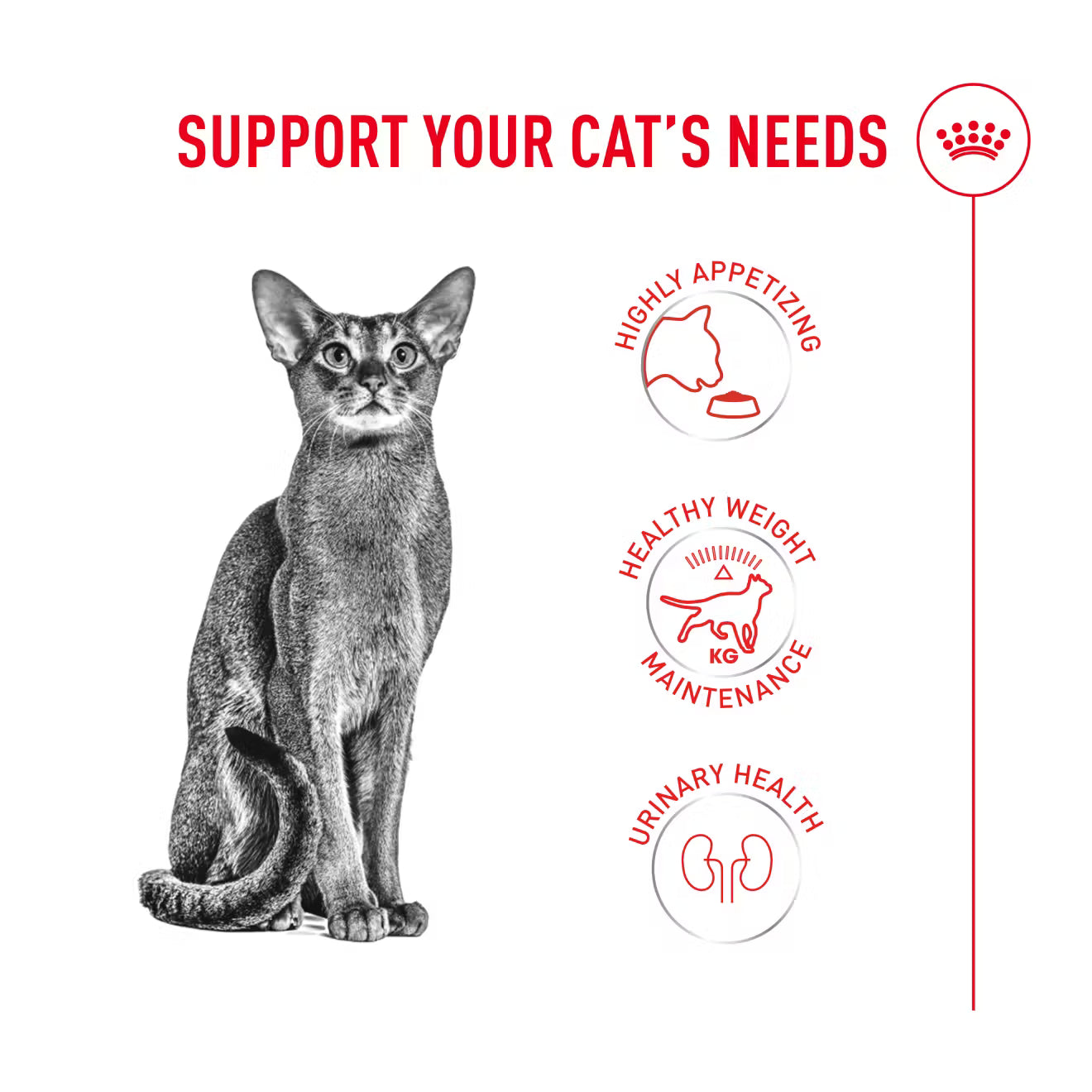 Royal Canin Fussy Exigent Dry Cat Food for Adult Cats