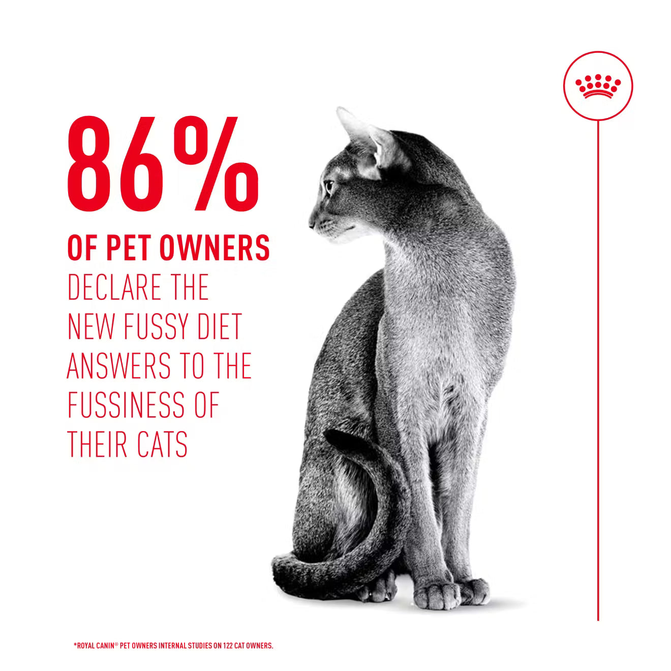 Royal Canin Fussy Exigent Dry Cat Food for Adult Cats