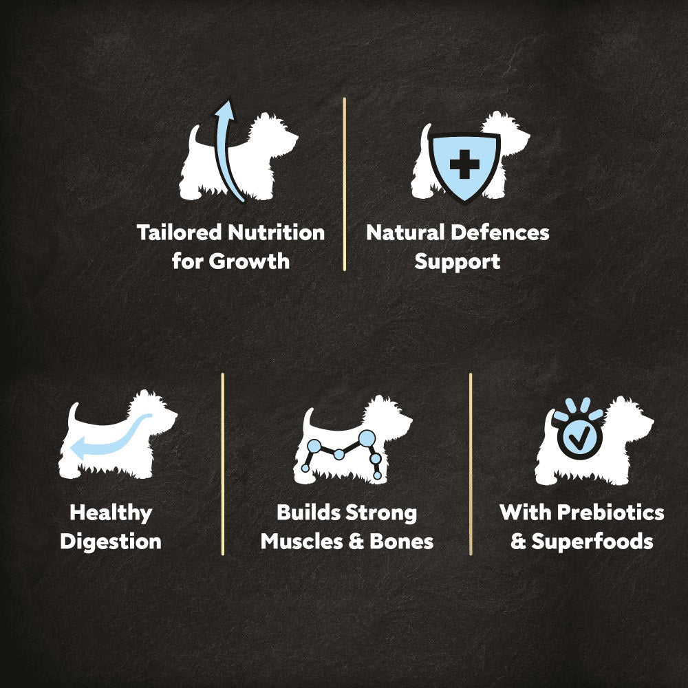Cesar Fresh Chicken, Rice & Vegetables Dry Dog Food for Puppies, 1.4kg