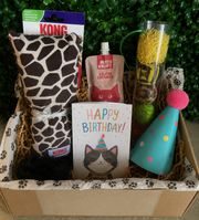 KONG Cat Birthday Gift Box – The Purr-fect Birthday Surprise for Your Feline Friend! 🎉🐱