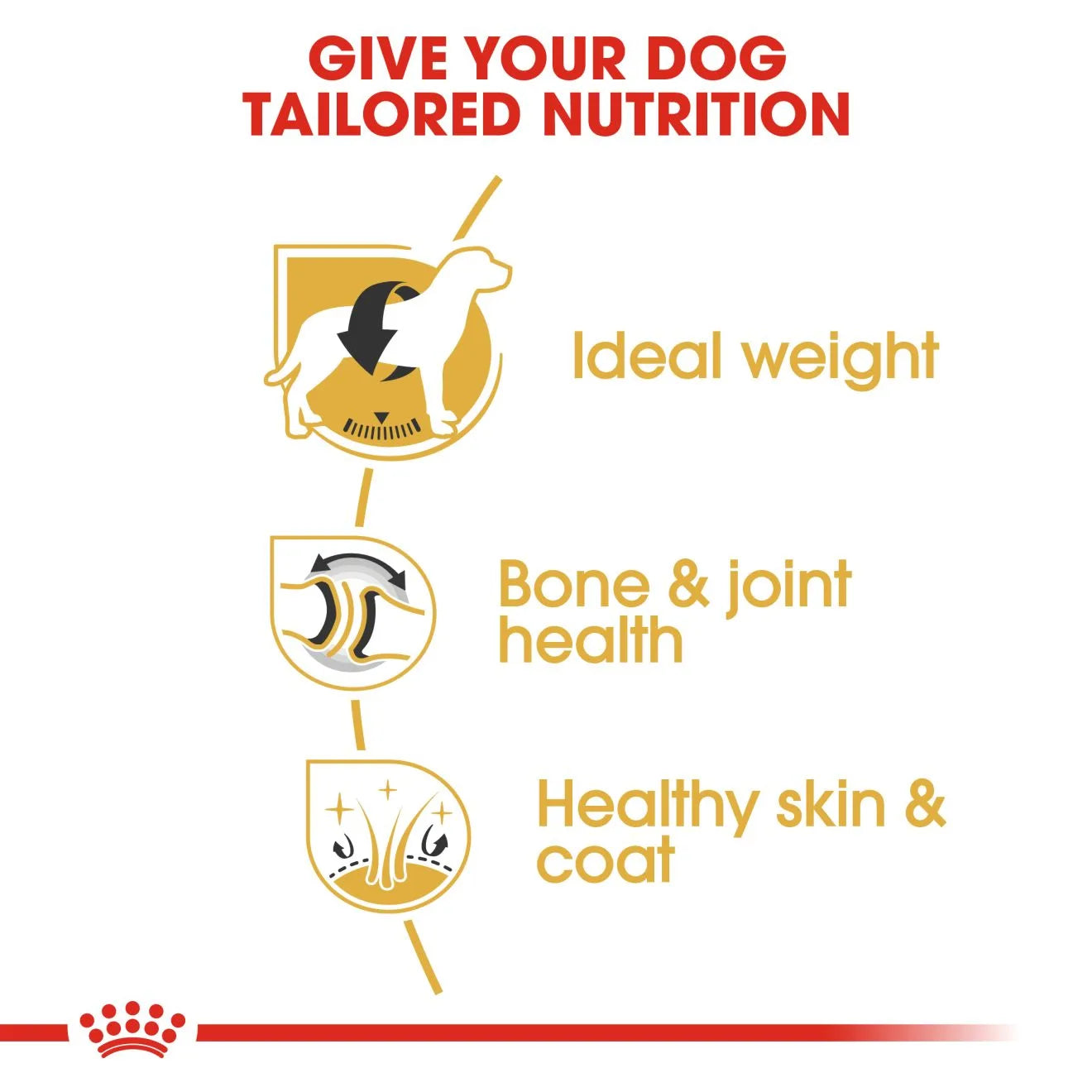 Royal Canin Dry Dog Food for Adult Labrador Retrievers, 12kg