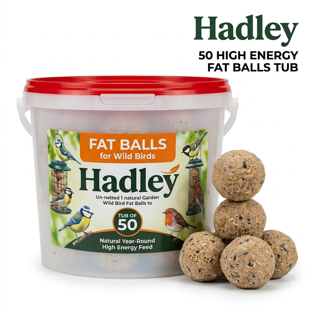 Hadley Fat Balls for Wild Birds - Tub of 50