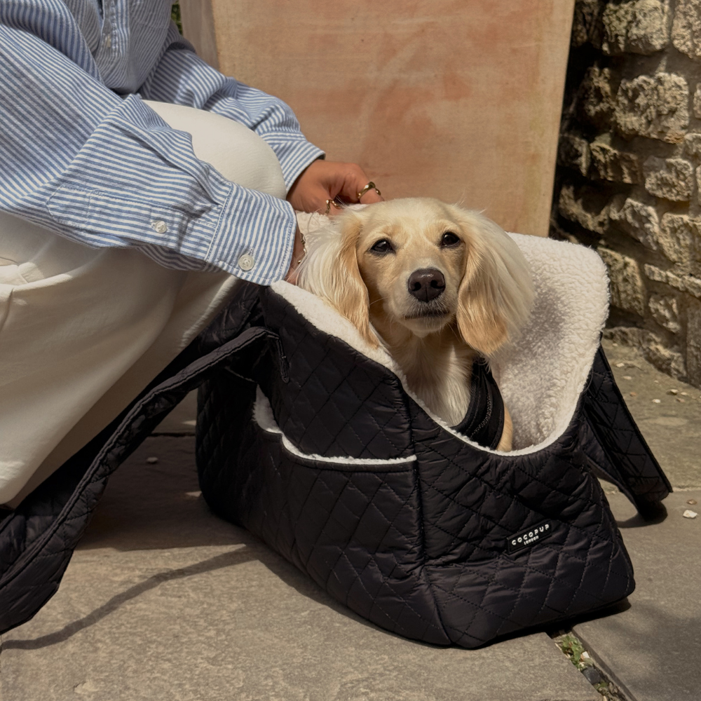 Cocopup Quilted Black Dog Carrier