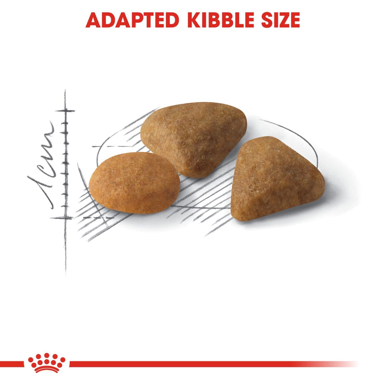 Royal Canin Savour Exigent Dry Cat Food for Fussy Adult Cats, 400g