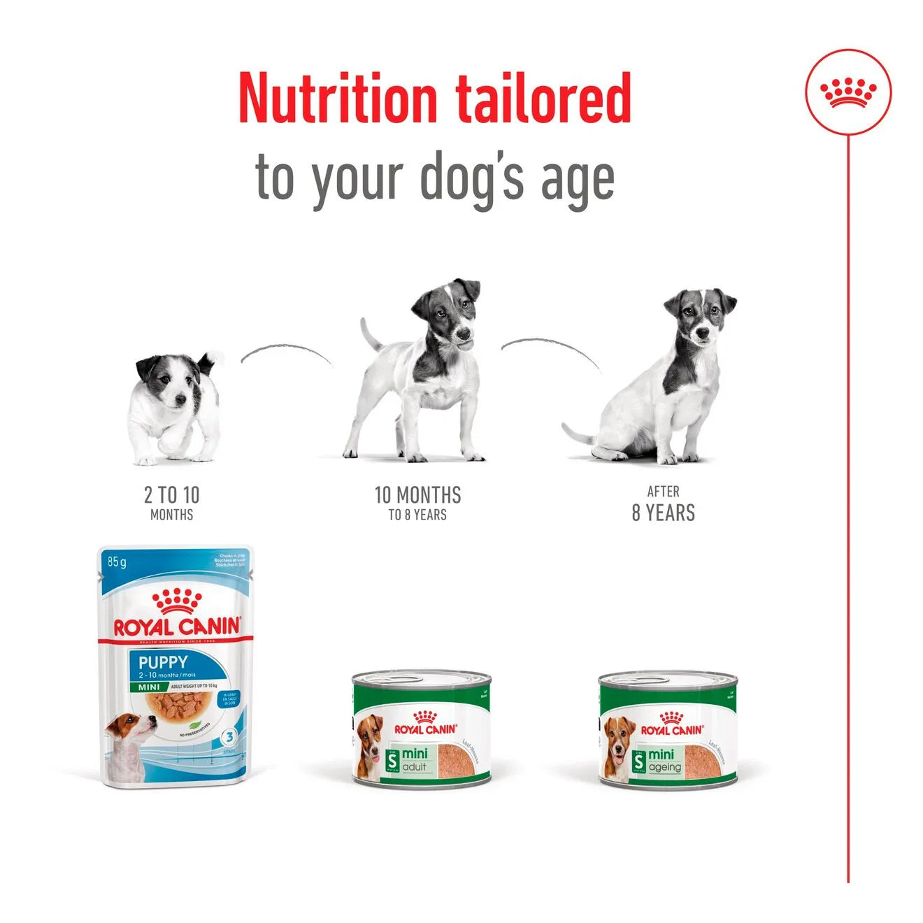 Royal Canin Ageing 8+ Wet Dog Food In Loaf for Small Breed Senior Dogs, 195g