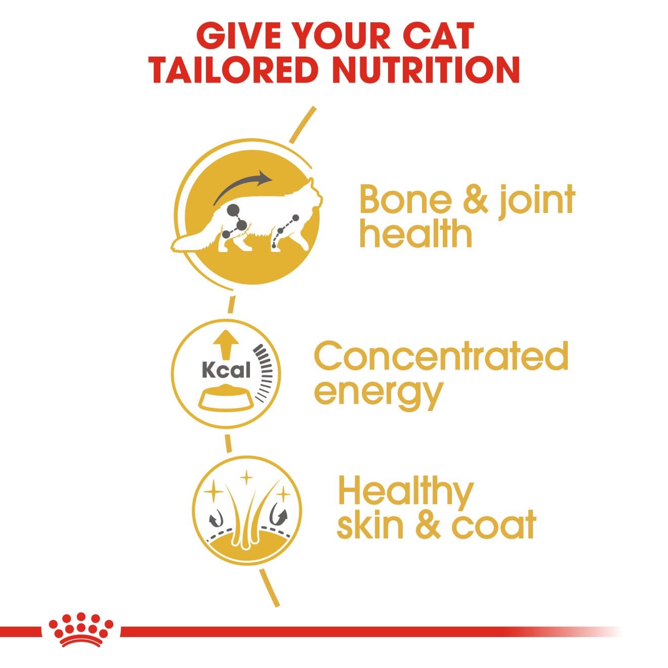 Royal Canin Wet Cat Food Chunks In Gravy for Adult Maine Coon Cats, 85g