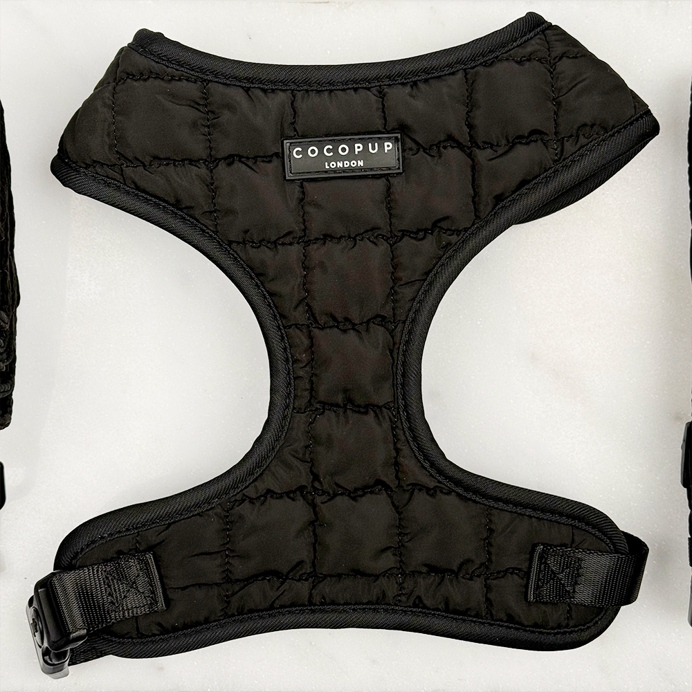 Cocopup Onyx Quilted Adjustable Neck Dog Harness