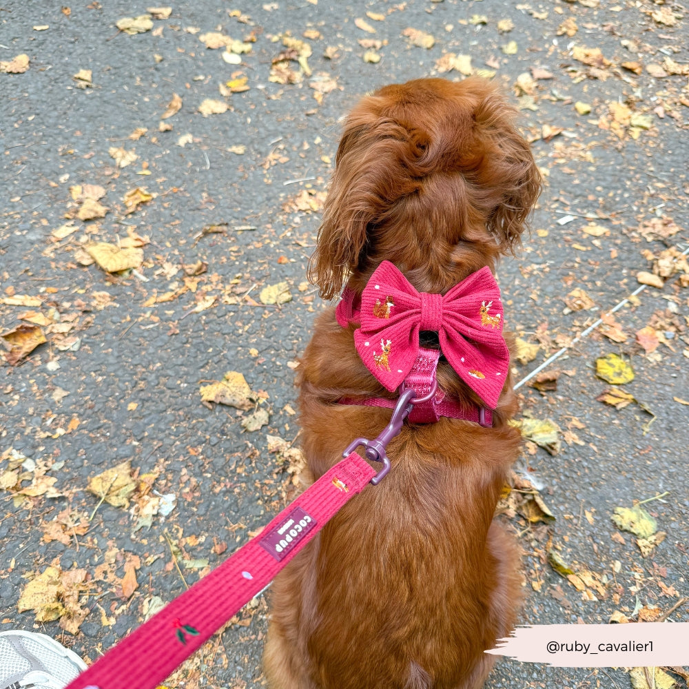 Cocopup Holly Jolly Trails Dog Lead