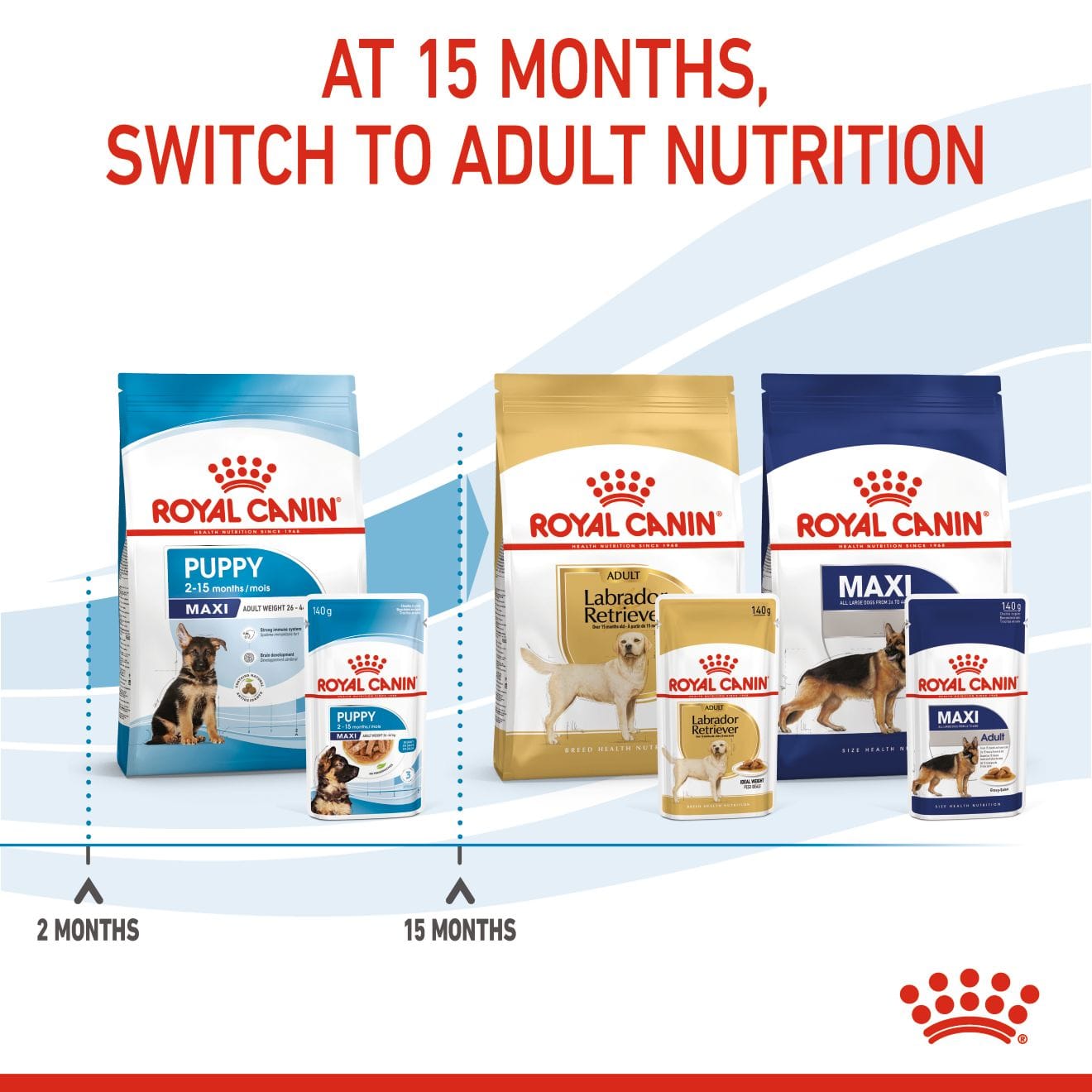 Royal Canin Wet Dog Food Chunks In Gravy for Large Breed Puppies, 140g