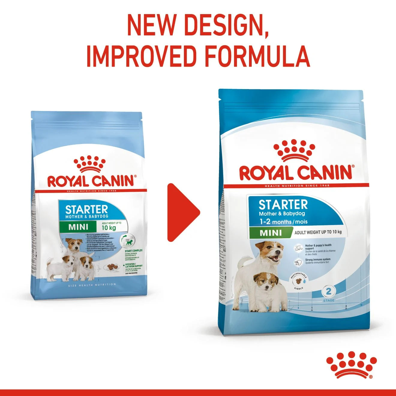Royal Canin Starter Dry Dog Food for Small Breed Mother & Babydog