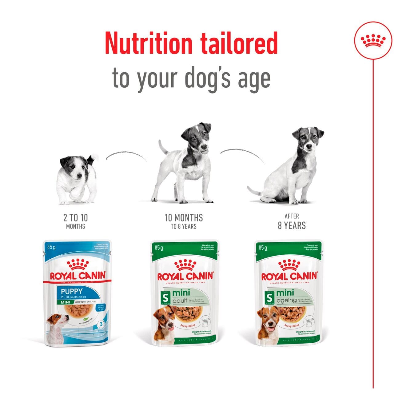 Royal Canin Ageing 8+ Wet Dog Food Chunks In Gravy for Small Breed Senior Dogs, 85g