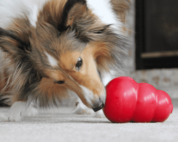 Food-motivated chewers