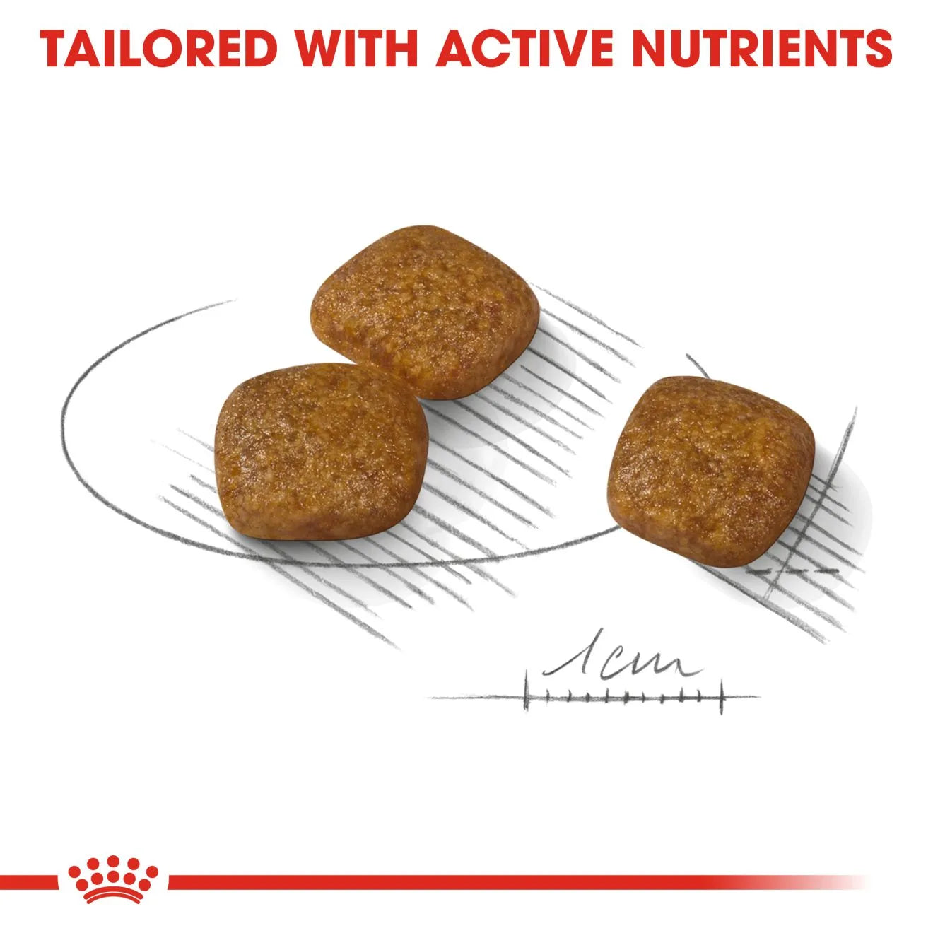 Royal Canin Urinary Care Dry Dog Food for Small Breed Adult Dogs, 3kg