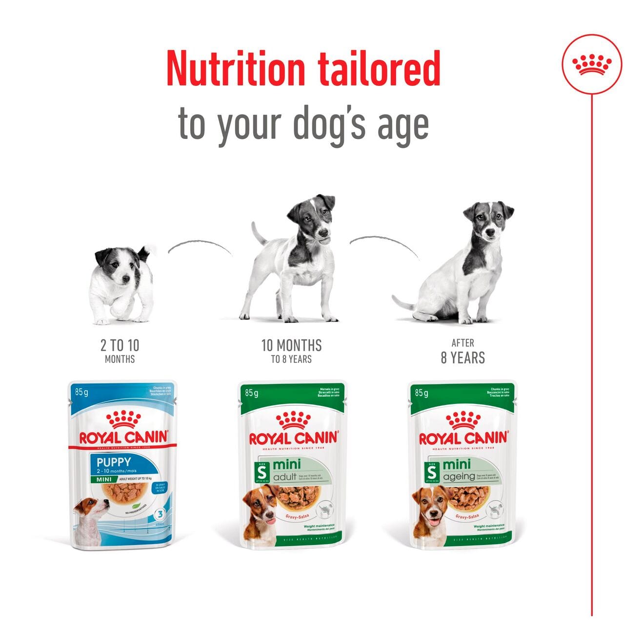 Royal Canin Wet Dog Food Chunks In Gravy for Small Breed Adult Dogs, 85g
