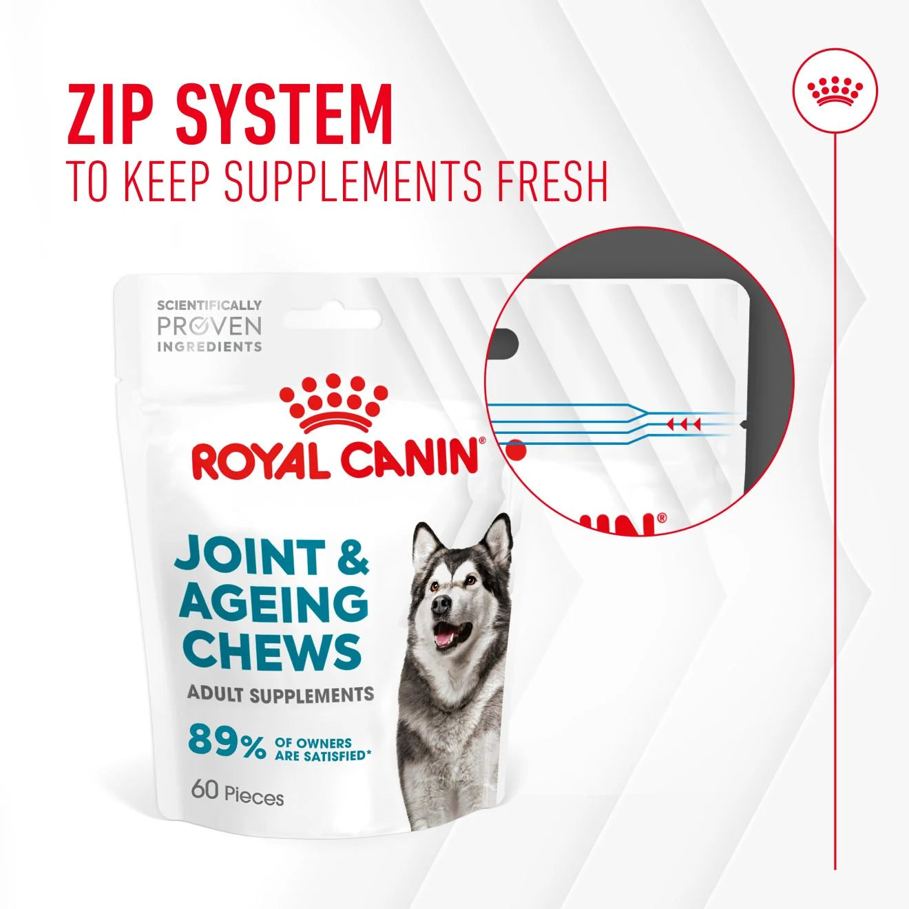 Royal Canin Dog Supplement for Joint & Ageing Soft Chews, 240g