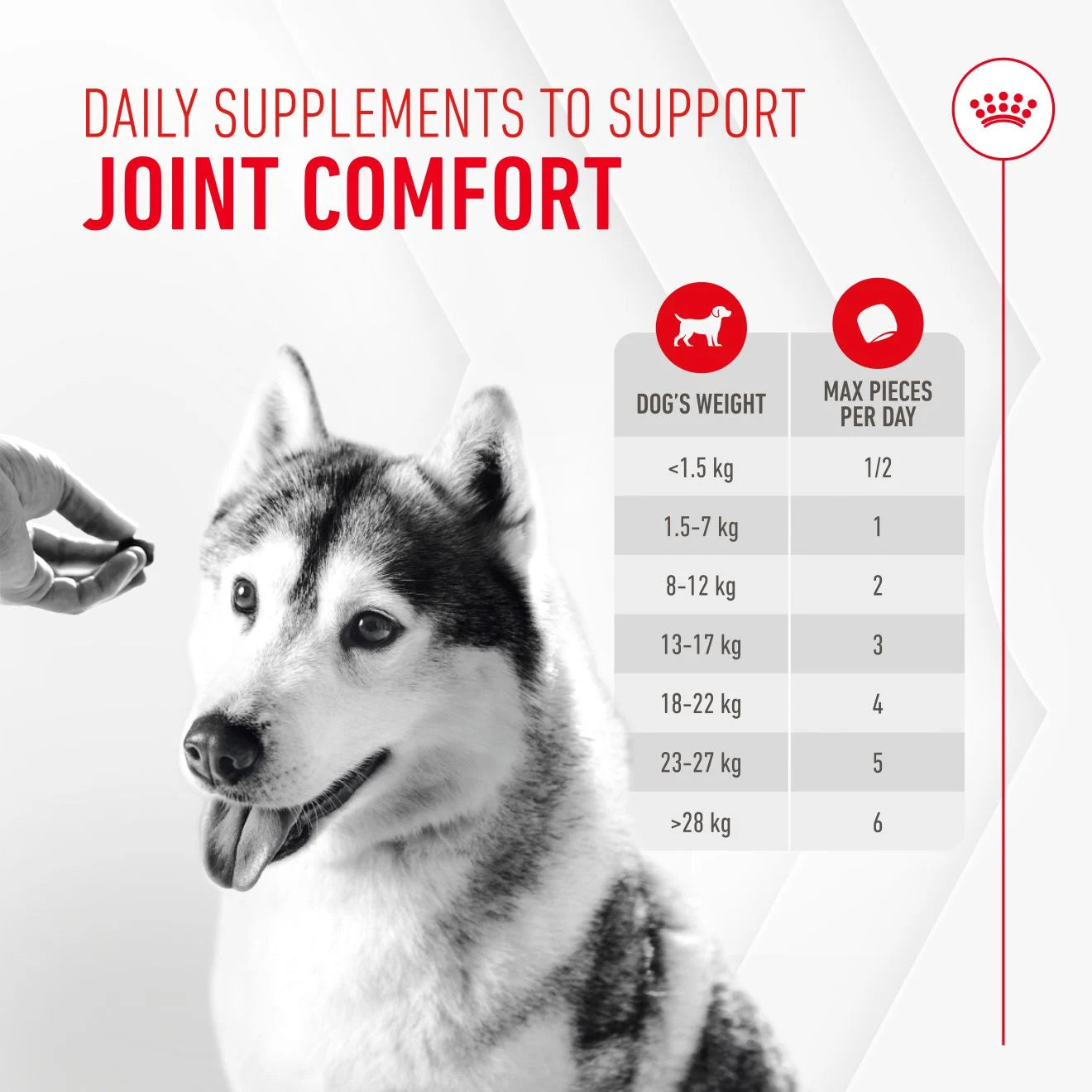 Royal Canin Dog Supplement for Joint & Ageing Soft Chews, 240g