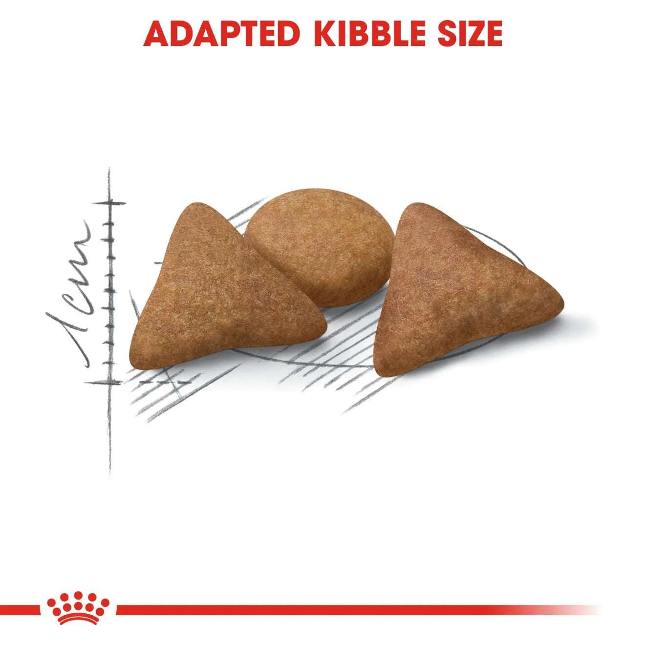Royal Canin Indoor Appetite Control Dry Cat Food for Adult Cats