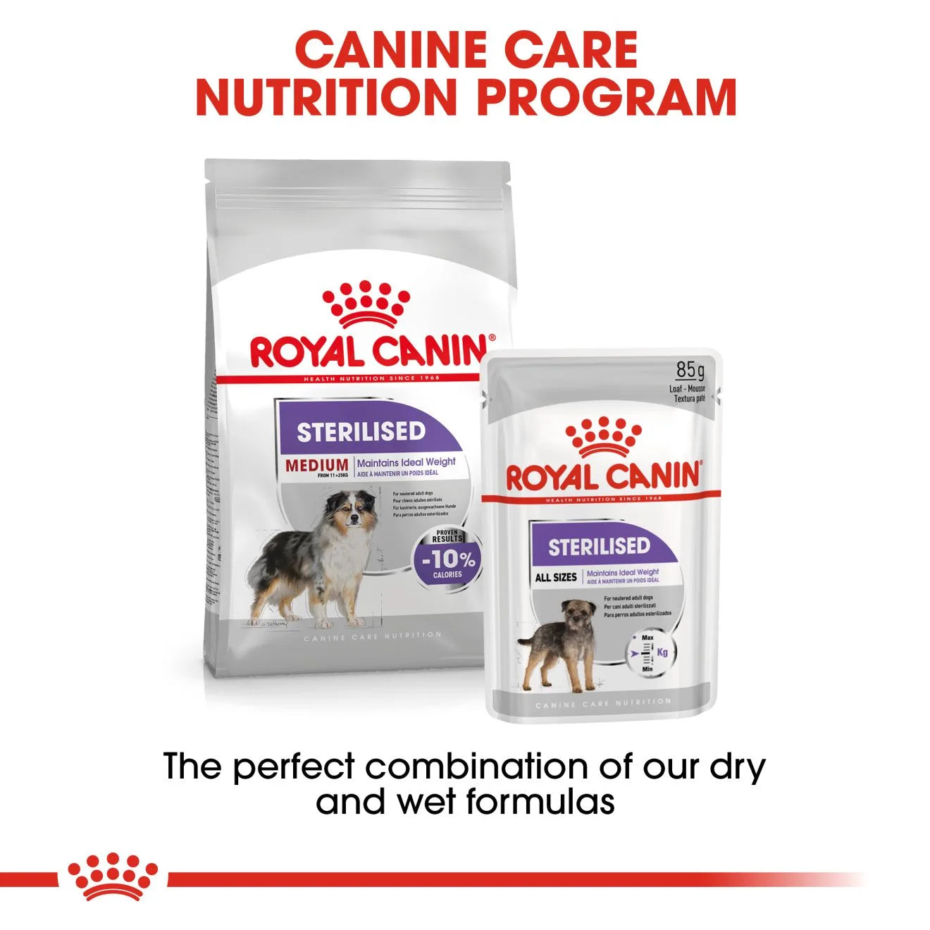 Royal Canin Sterilised Dry Dog Food for Medium Breed Adult Dogs, 12kg