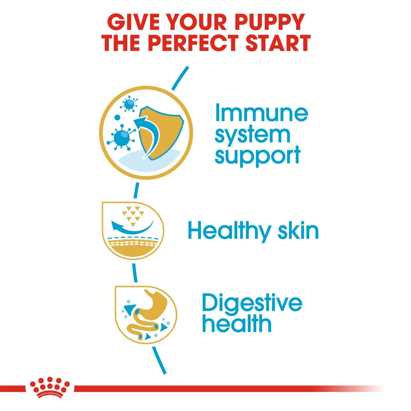 Royal Canin Dry Dog Food for Pug Puppies, 1.5kg