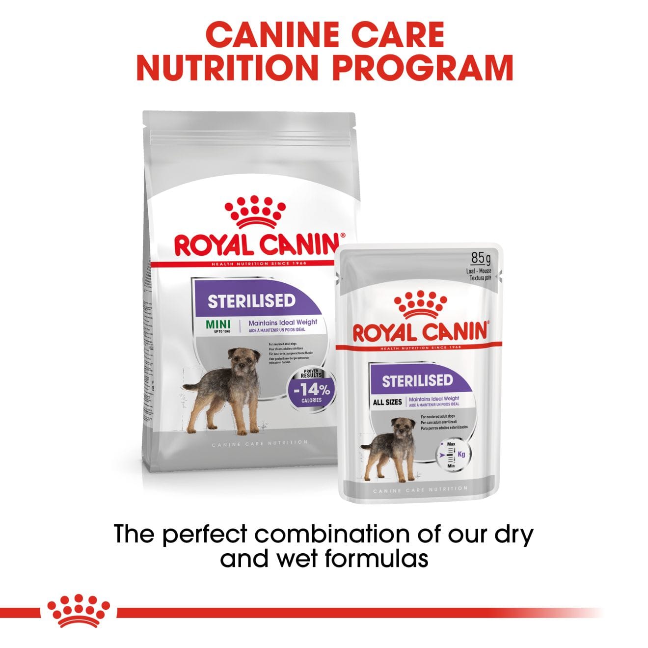 Royal Canin Sterilised Wet Dog Food Thin Slices In Gravy for Neutered Adult Dogs, 85g