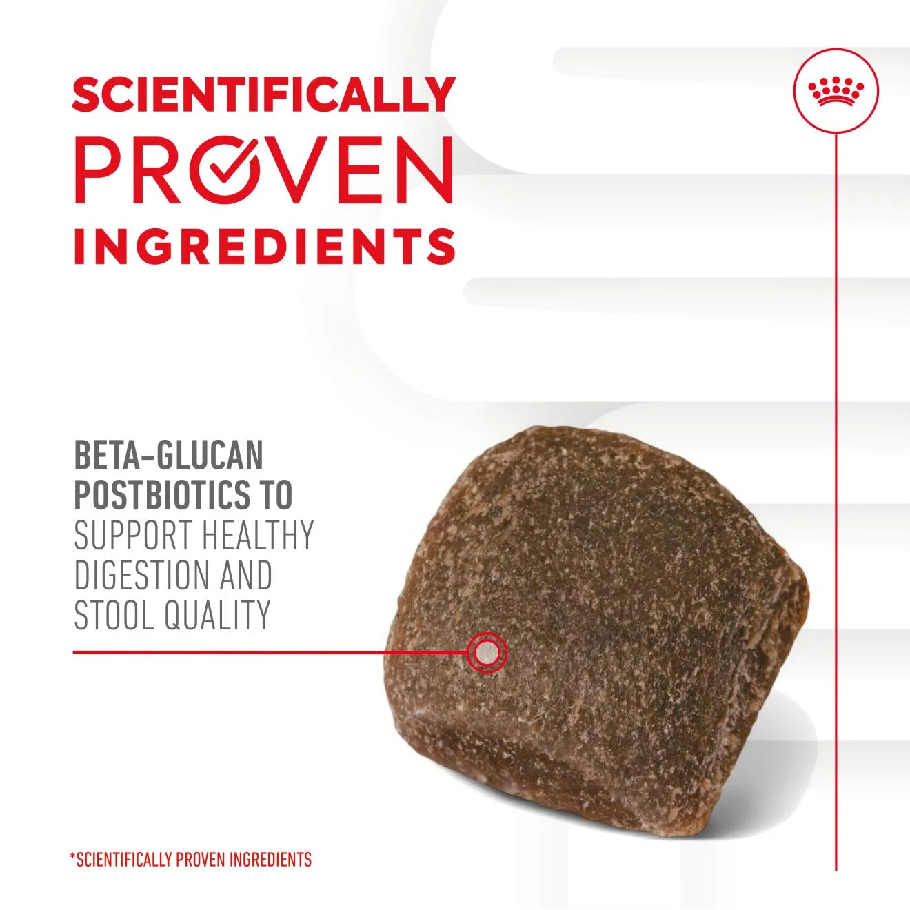 Royal Canin Dog Supplement for Digestion Soft Chews, 160g