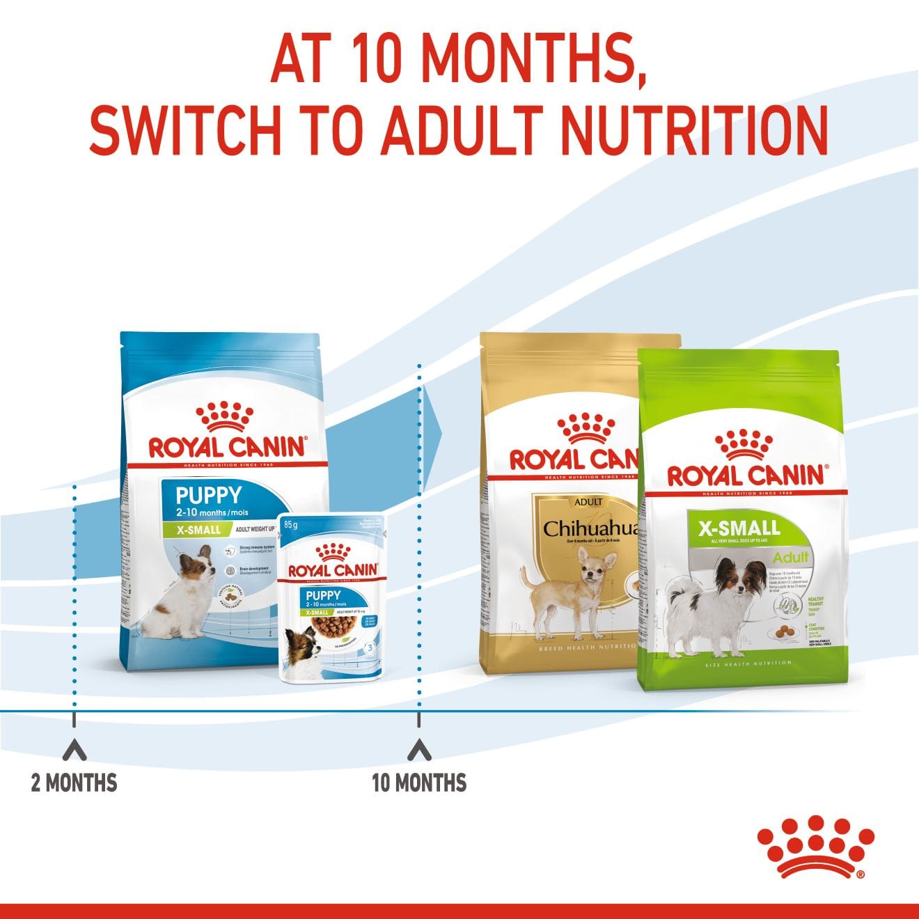 Royal Canin Dry Dog Food for Extra-Small Breed Puppies, 1.5kg