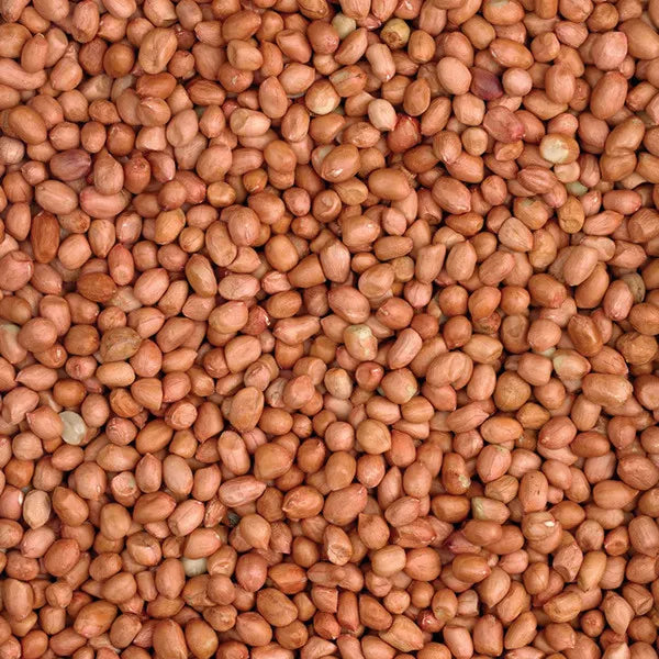 Hadley Peanuts for Wild Birds