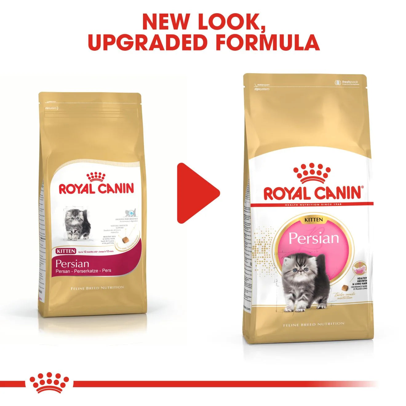 Royal Canin Dry Cat Food for Persian Kittens