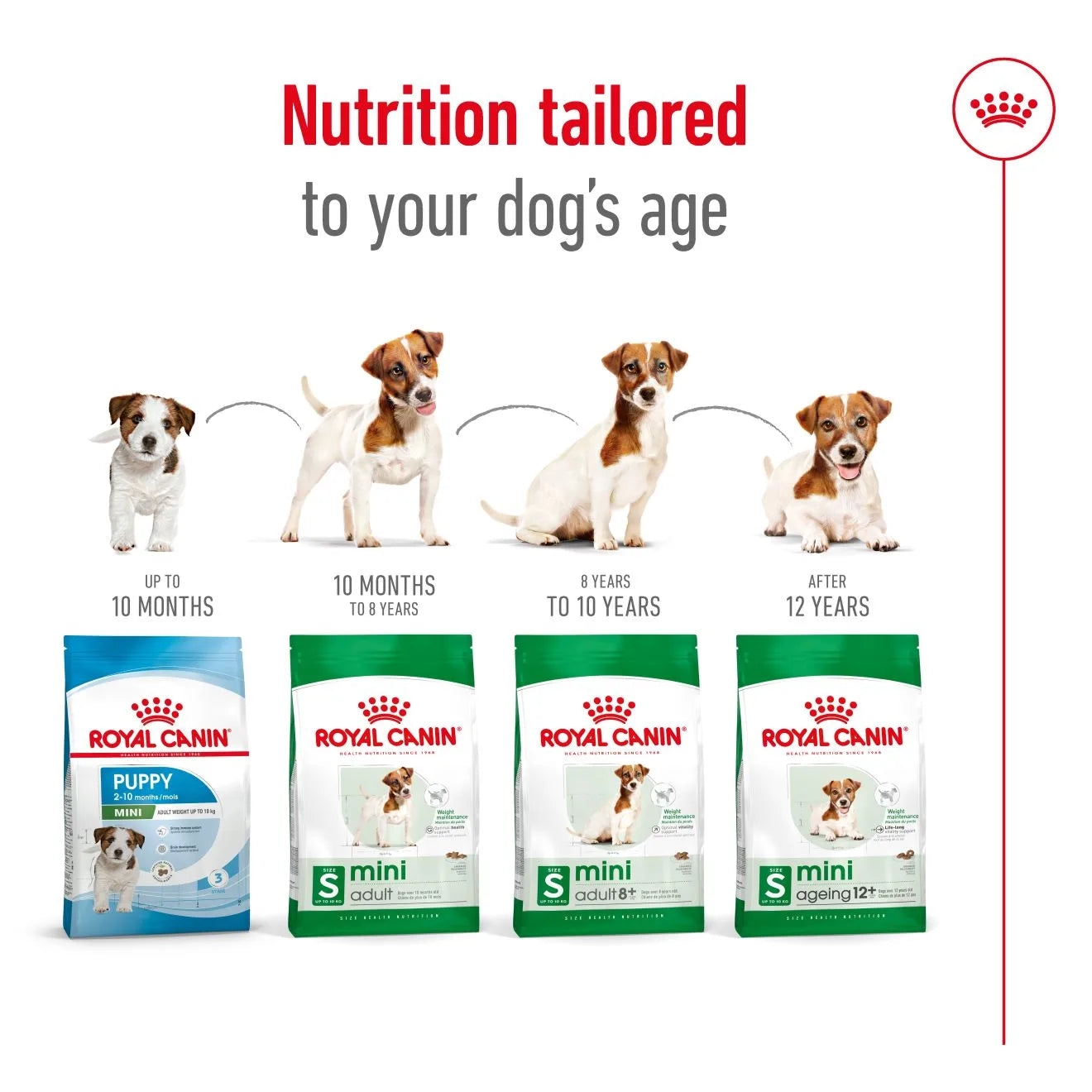 Royal Canin Dry Dog Food for Small Breed Adult Dogs