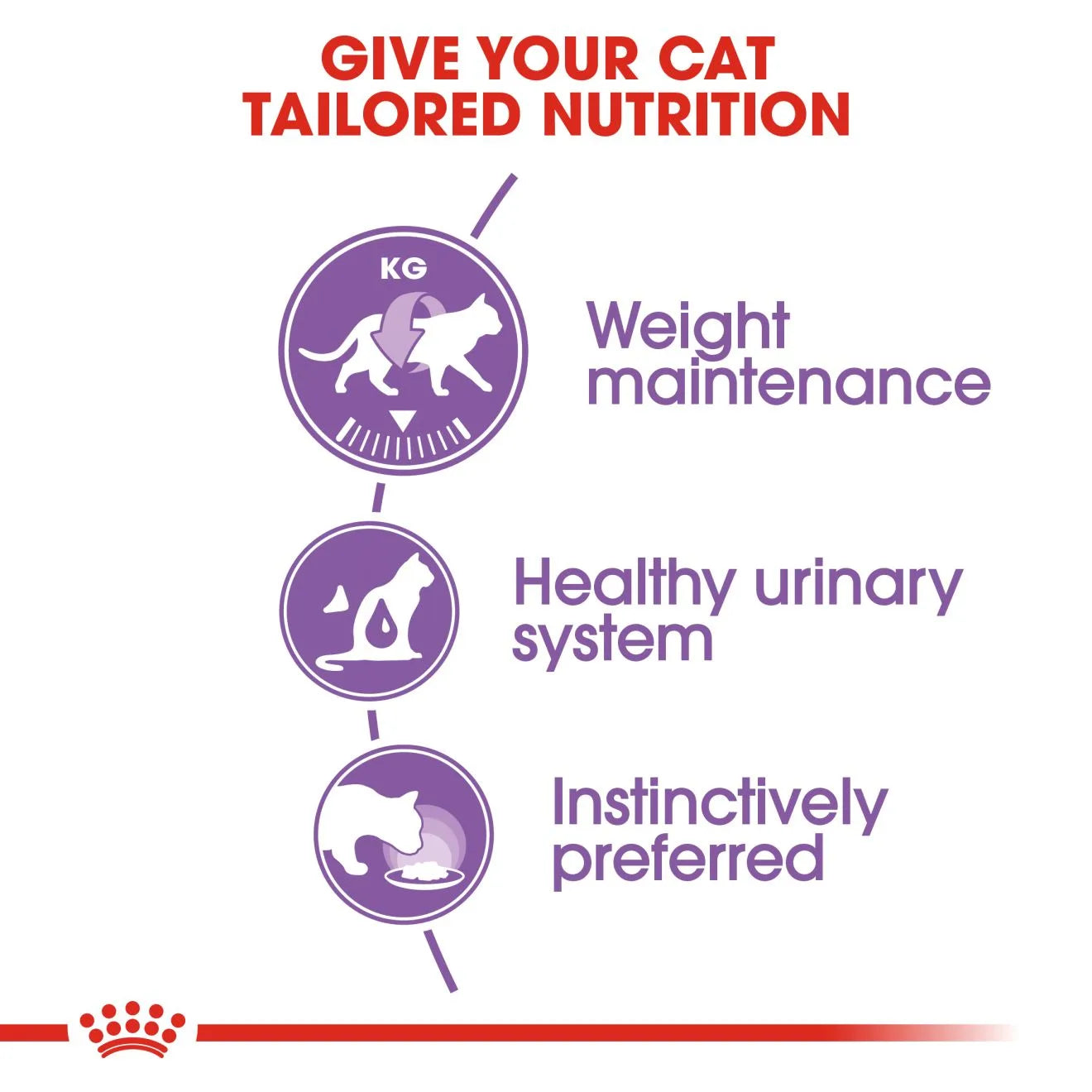 Royal Canin Sterilised Wet Cat Food Thin Slices In Gravy for Neutered Adult Cats, 85g