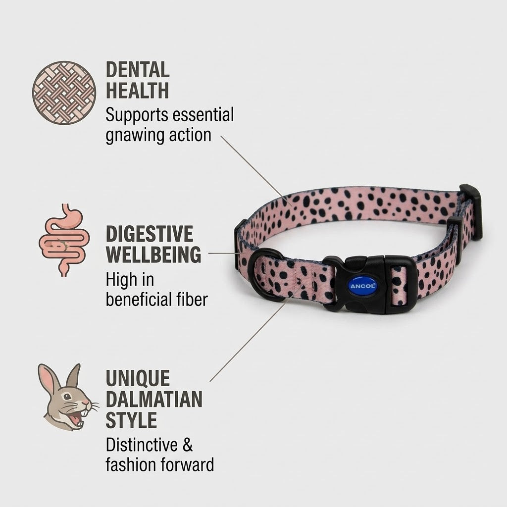 Ancol Soho Dalmatian Patterned Dog Collar All Life Stages 20-70cm