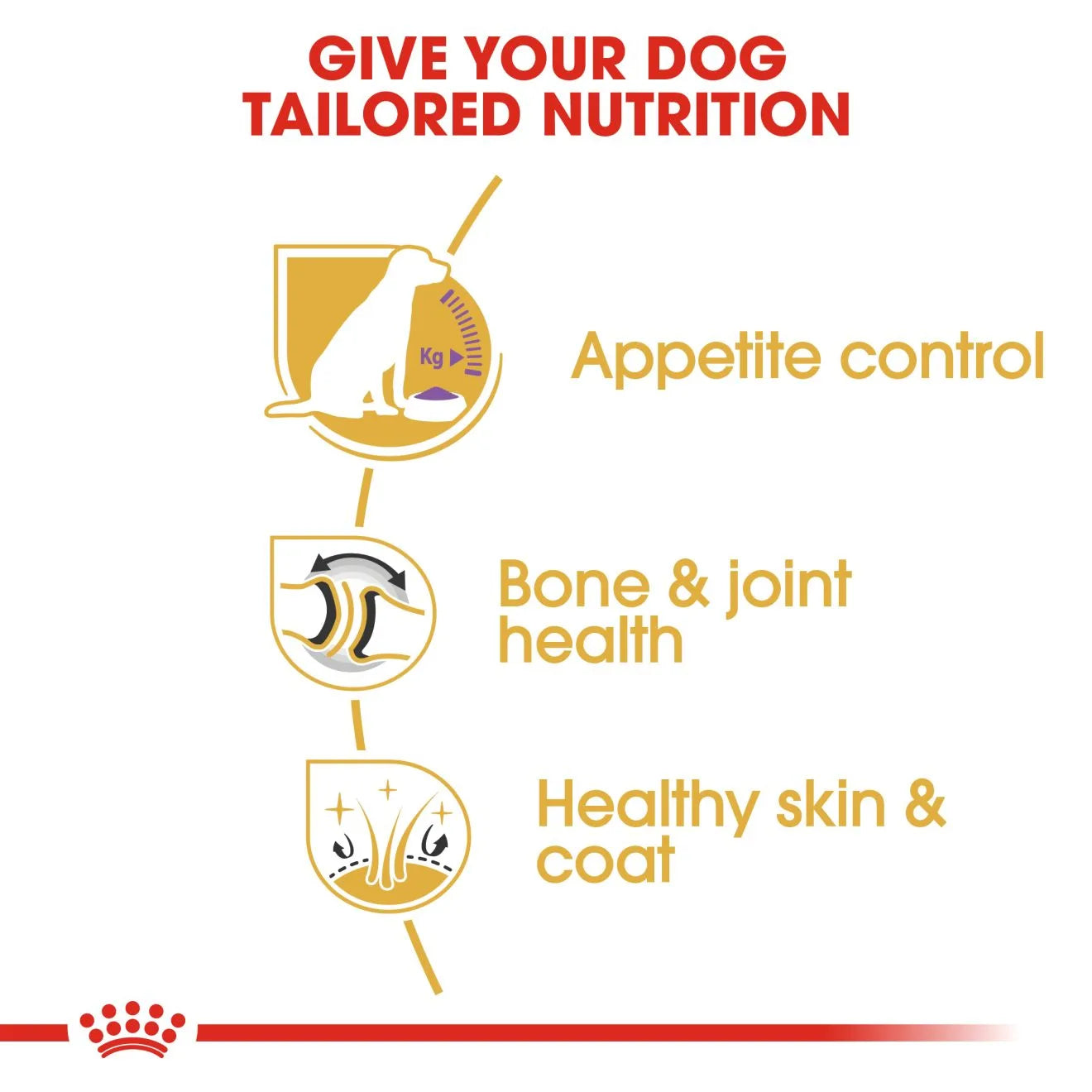 Royal Canin Sterilised Dry Dog Food for Neutered Adult Labrador Retrievers, 12kg