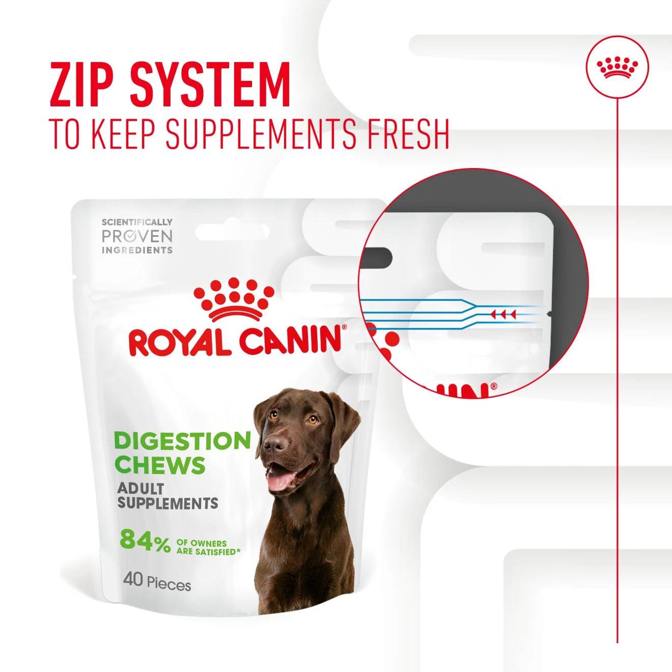 Royal Canin Dog Supplement for Digestion Soft Chews, 160g