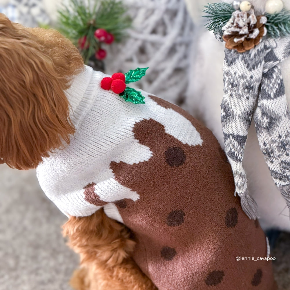 Cocopup Woofmas Christmas Pudding Dog Jumper