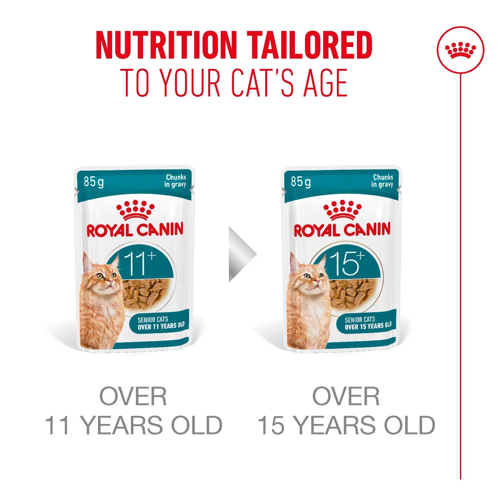 Royal Canin Ageing 11+ Wet Cat Food in Gravy for Senior Cats, 85g