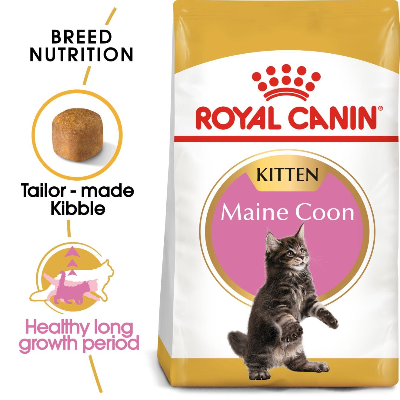 Royal Canin Dry Cat Food for Maine Coon Kittens, 2kg