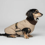 Chic Pup Co Stone Waterproof Sherpa-Lined Dog Coat for Dachshunds