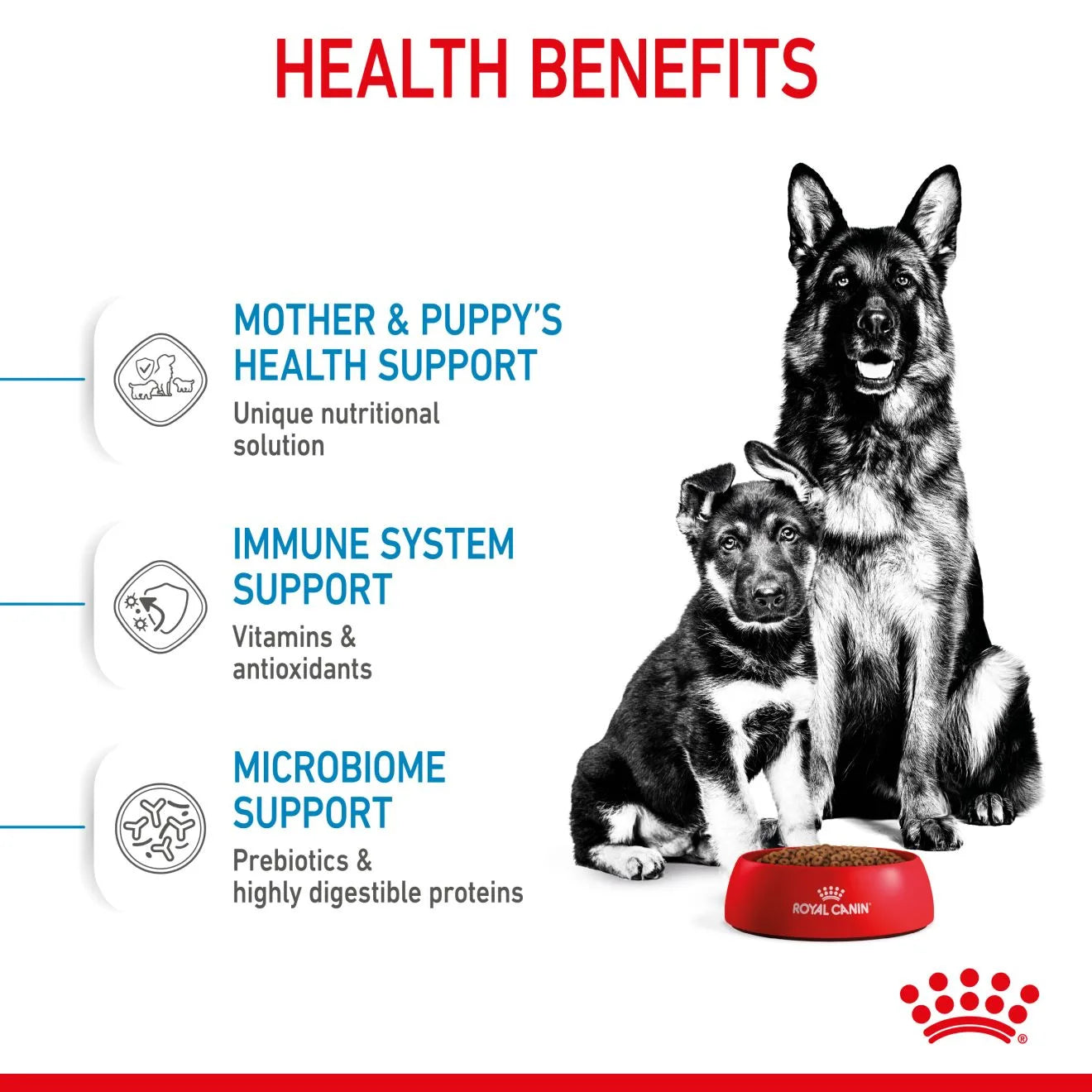 Royal Canin Starter Dry Dog Food for Large Breed Mother & Babydog