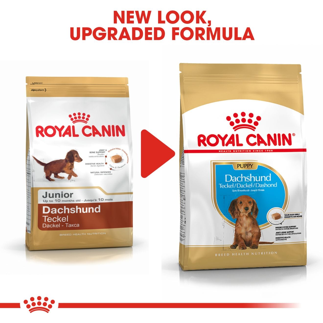 Royal Canin Dry Dog Food for Dachshund Puppies, 1.5kg
