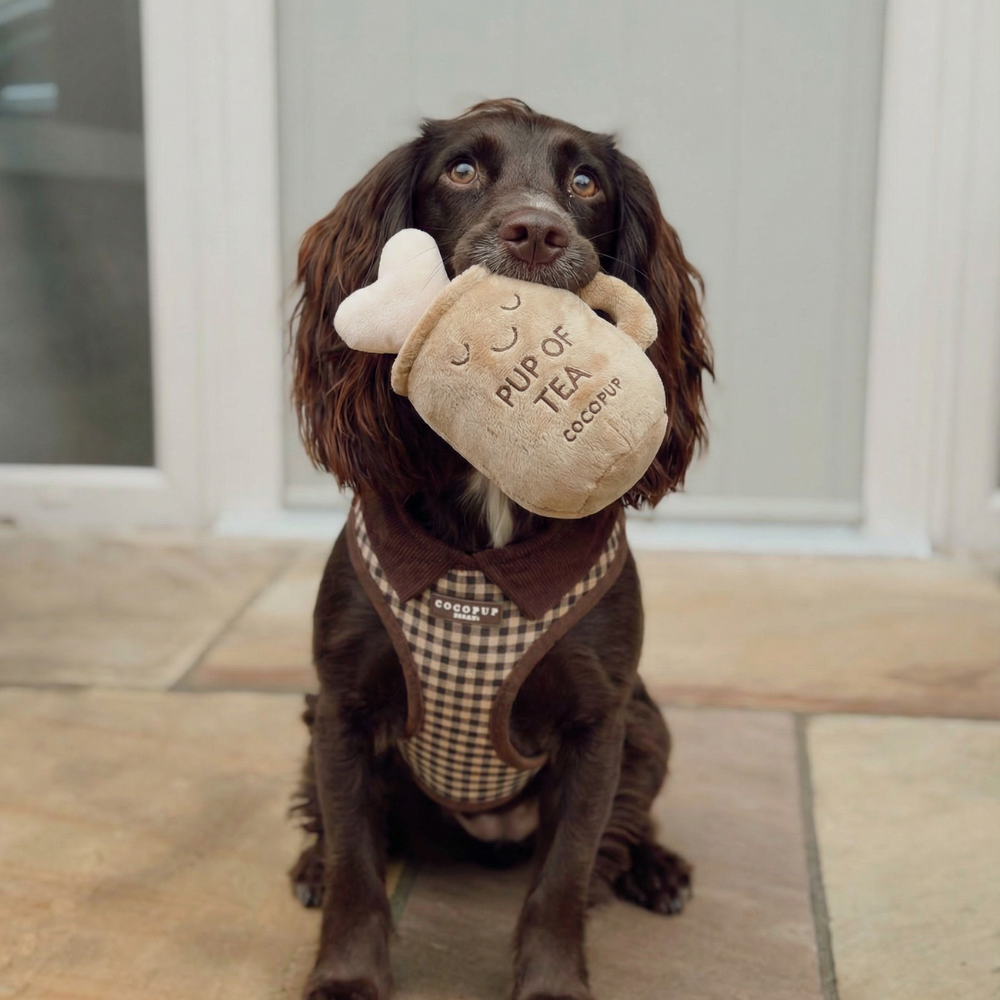 Cocopup Pup of Tea Dog Toy