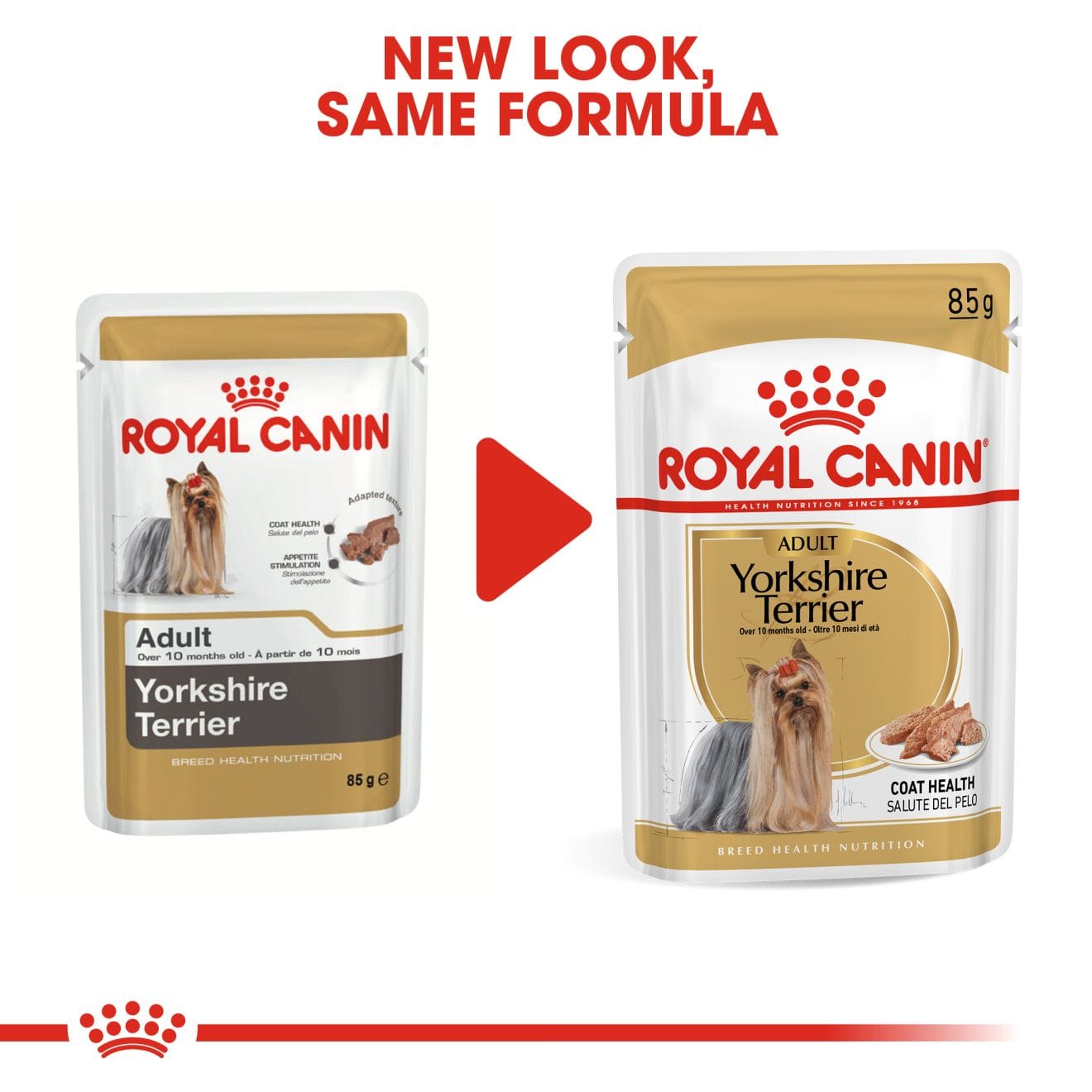 Royal Canin Wet Dog Food In Loaf for Adult Yorkshire Terriers, 85g