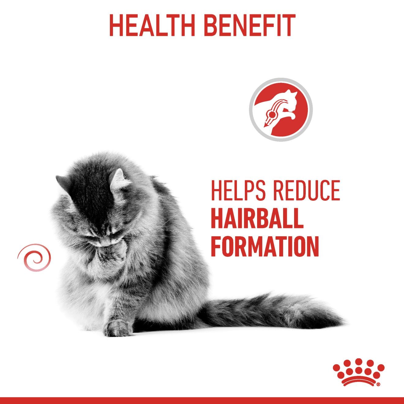 Royal Canin Hairball Care Wet Cat Food Thin Slices In Gravy for Adult Cats, 85g