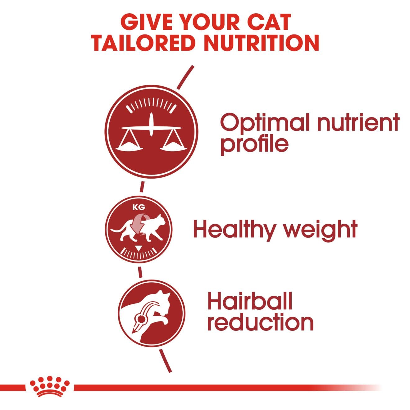 Royal Canin Fit 32 Dry Cat Food for Adult Cats
