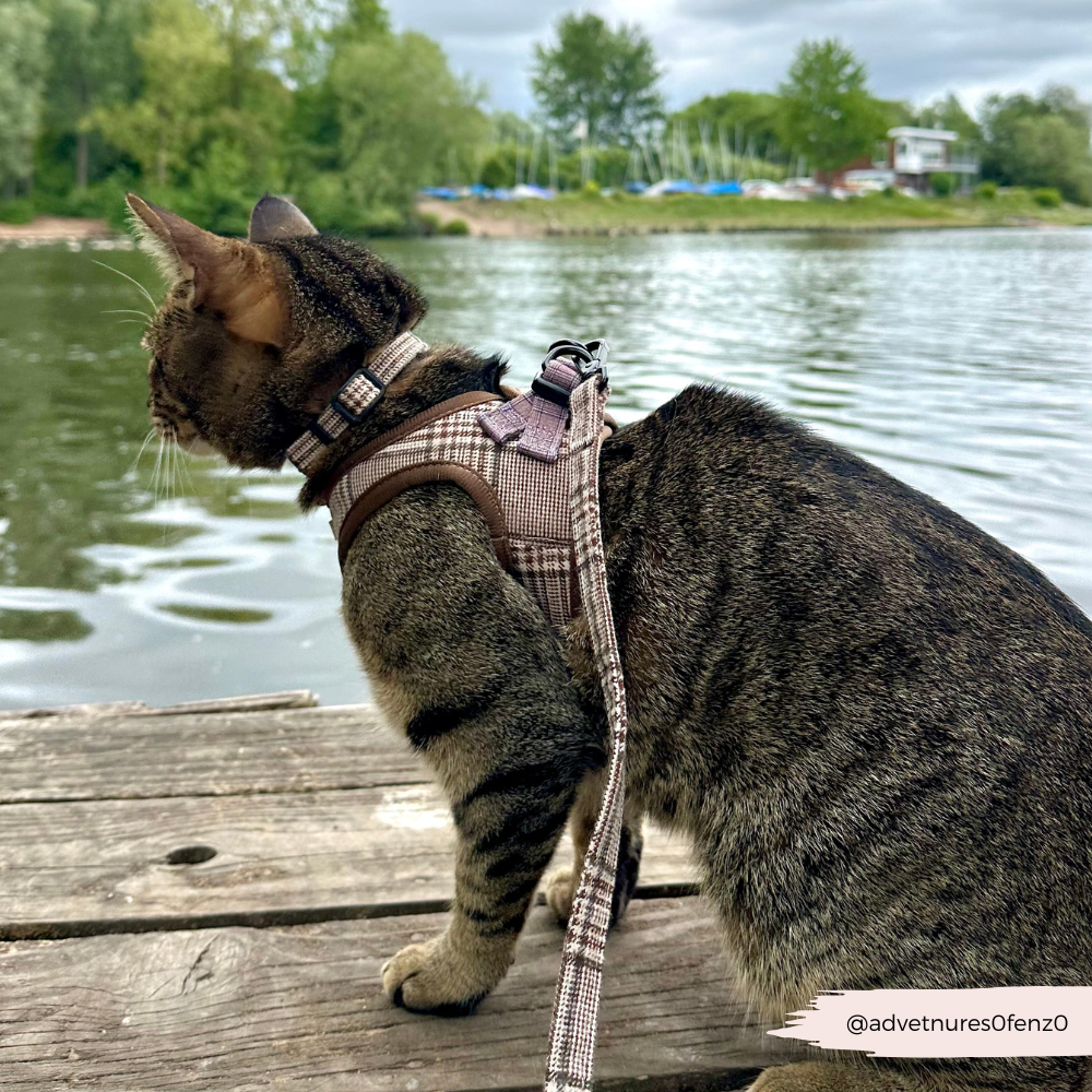 Cocopup Cat Collar, Plaid