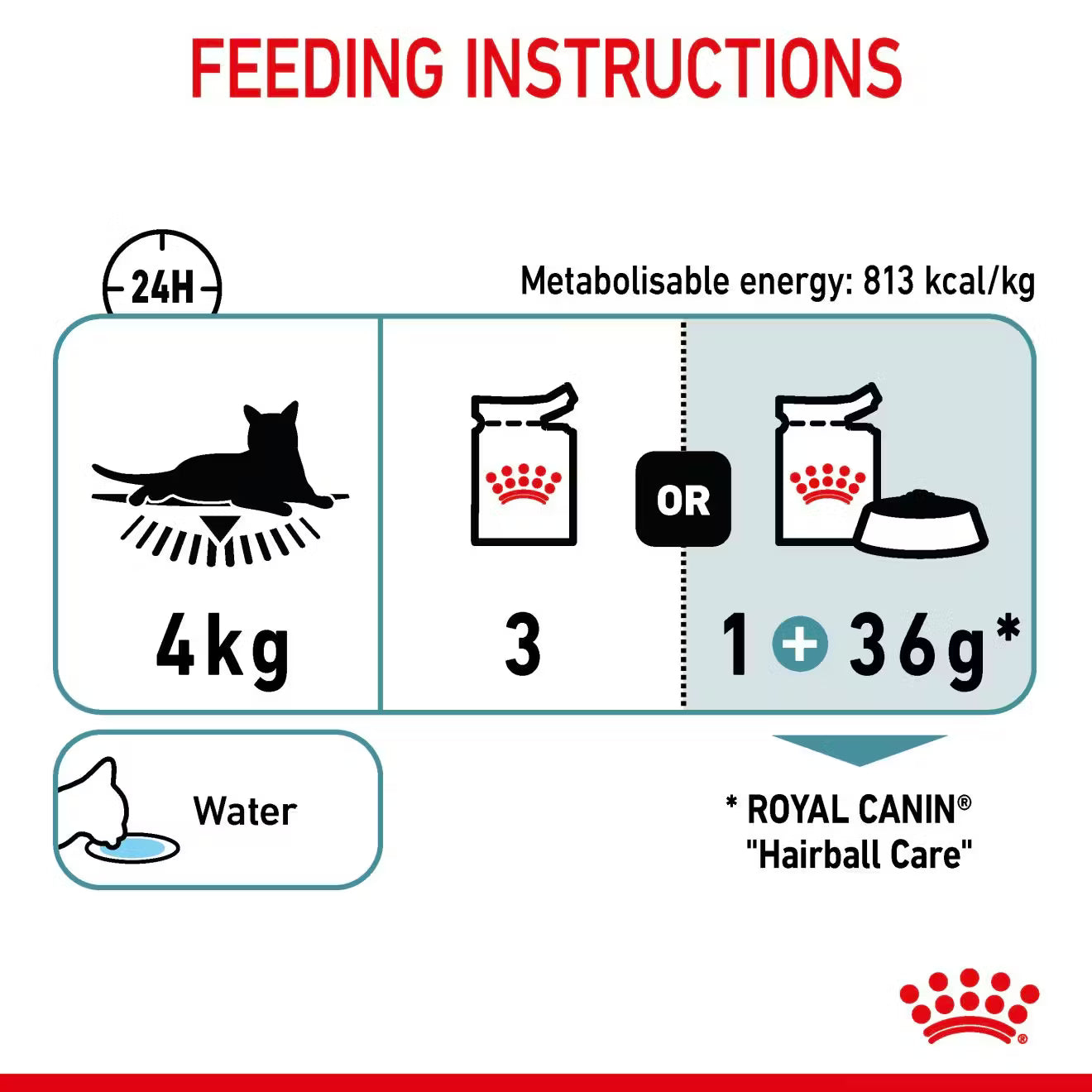 Royal Canin Hairball Care Wet Cat Food Thin Slices in Jelly for Adult Cats, 85g
